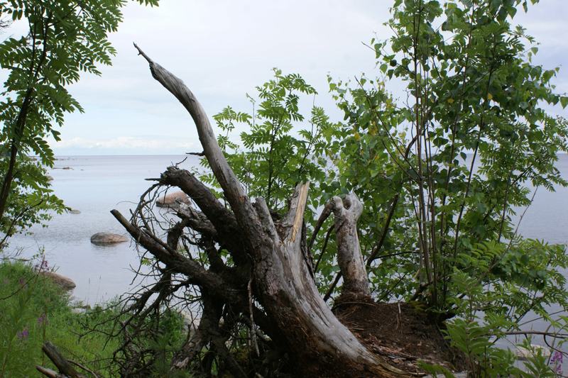 Estonia, Parco Nazionale di Lahemaa