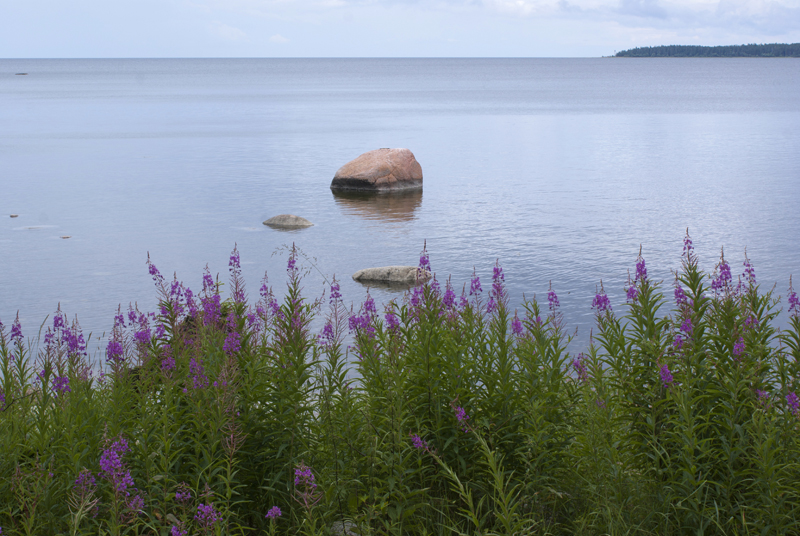 Estonia, Parco Nazionale di Lahemaa, massi erratici