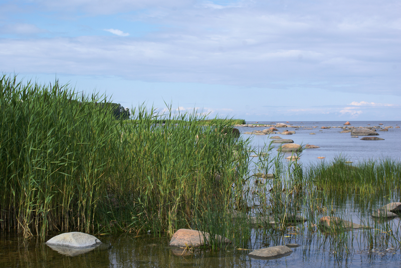 Estonia, Parco Nazionale di Lahemaa, massi erratici