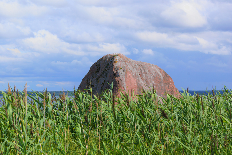 Estonia, Parco Nazionale di Lahemaa, massi erratici