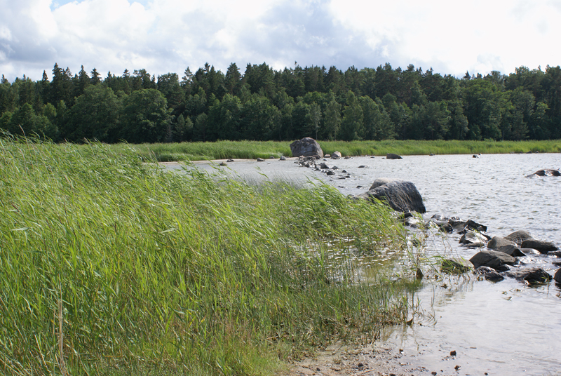 Estonia, Parco Nazionale di Lahemaa, massi erratici